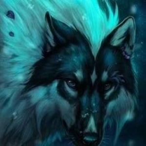 Meet your Posher, Niki